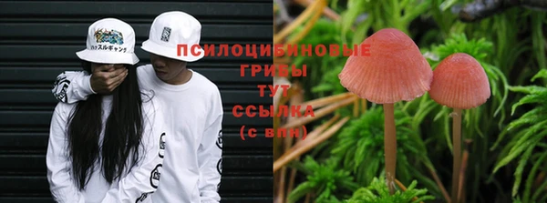 тгк Осташков