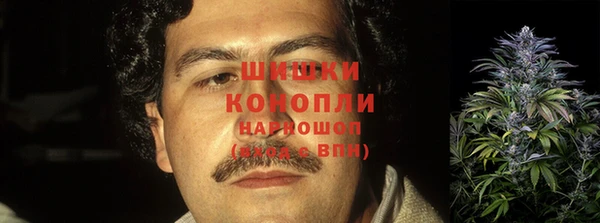 молекула духа Пересвет