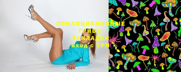 молекула духа Пересвет